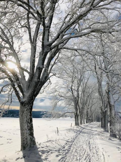 Rennsteighotel Grüner Baum 3* Schmiedefeld am Rennsteig