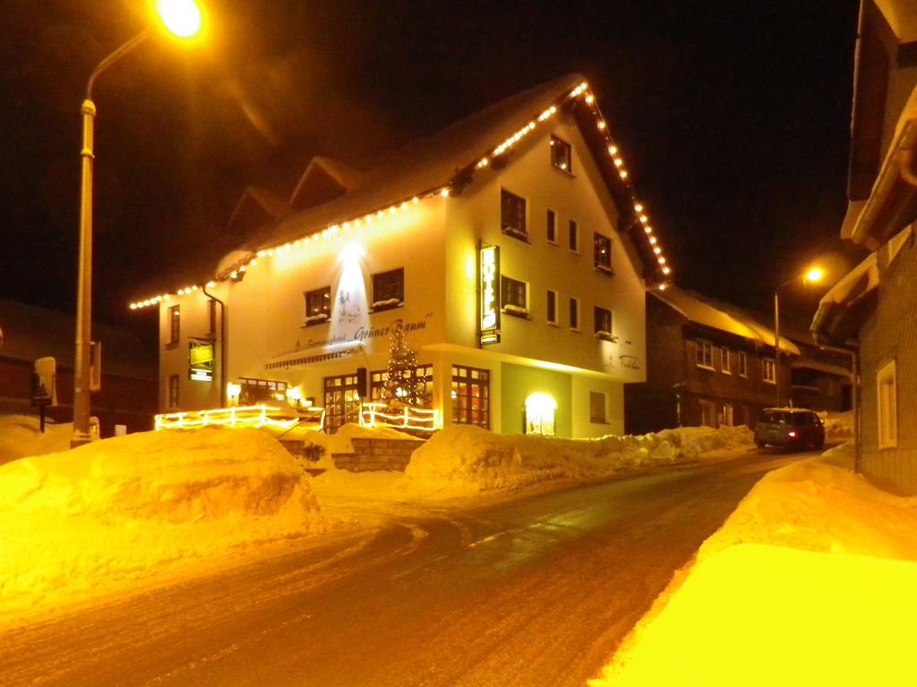 Rennsteighotel Grüner Baum 3*