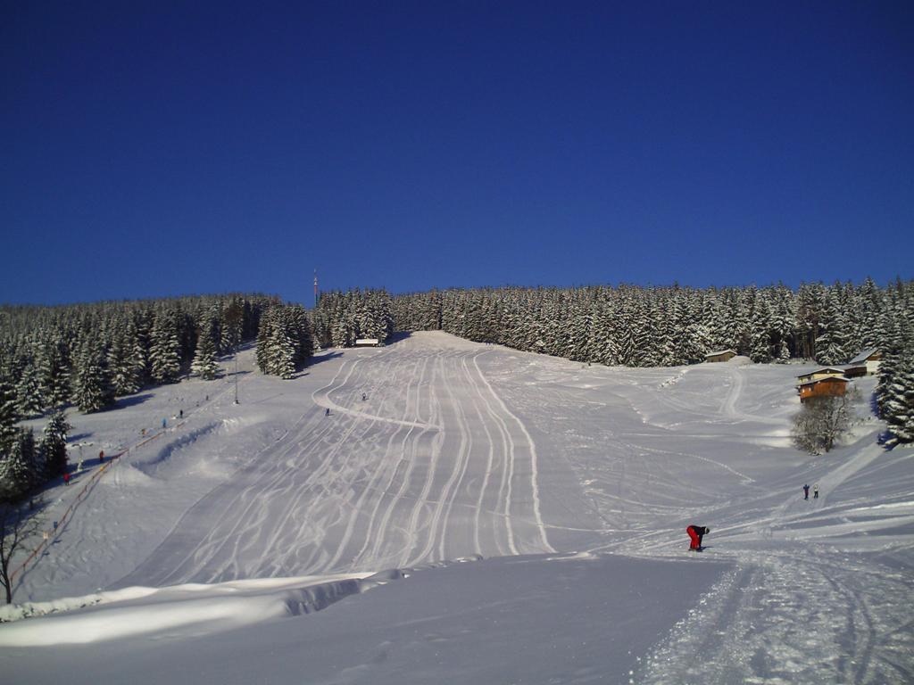 Rennsteighotel Grüner Baum 3*
